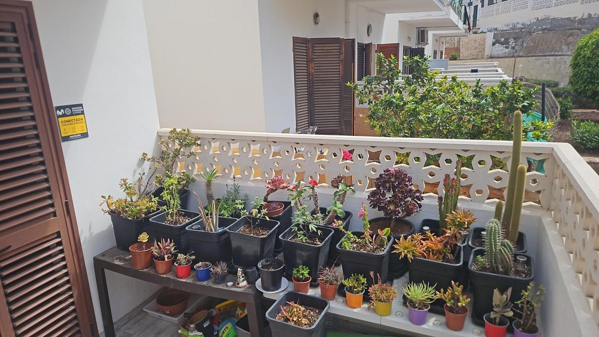 Renovated Villa In Las Americas Sea Coast بلايا ذي لاس أميريكاس الغرفة الصورة
